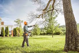 Best Hedge Trimming  in Chatham, VA