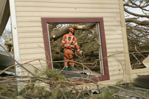 How Our Tree Care Process Works  in  Chatham, VA